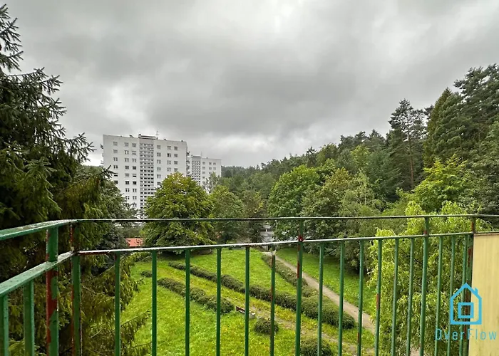 Array - 5 Minutes To Molo & Seaside